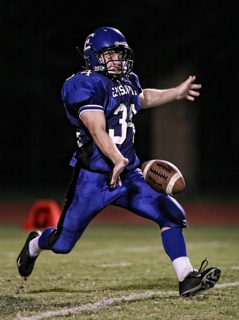 不少的启示 不少的启示