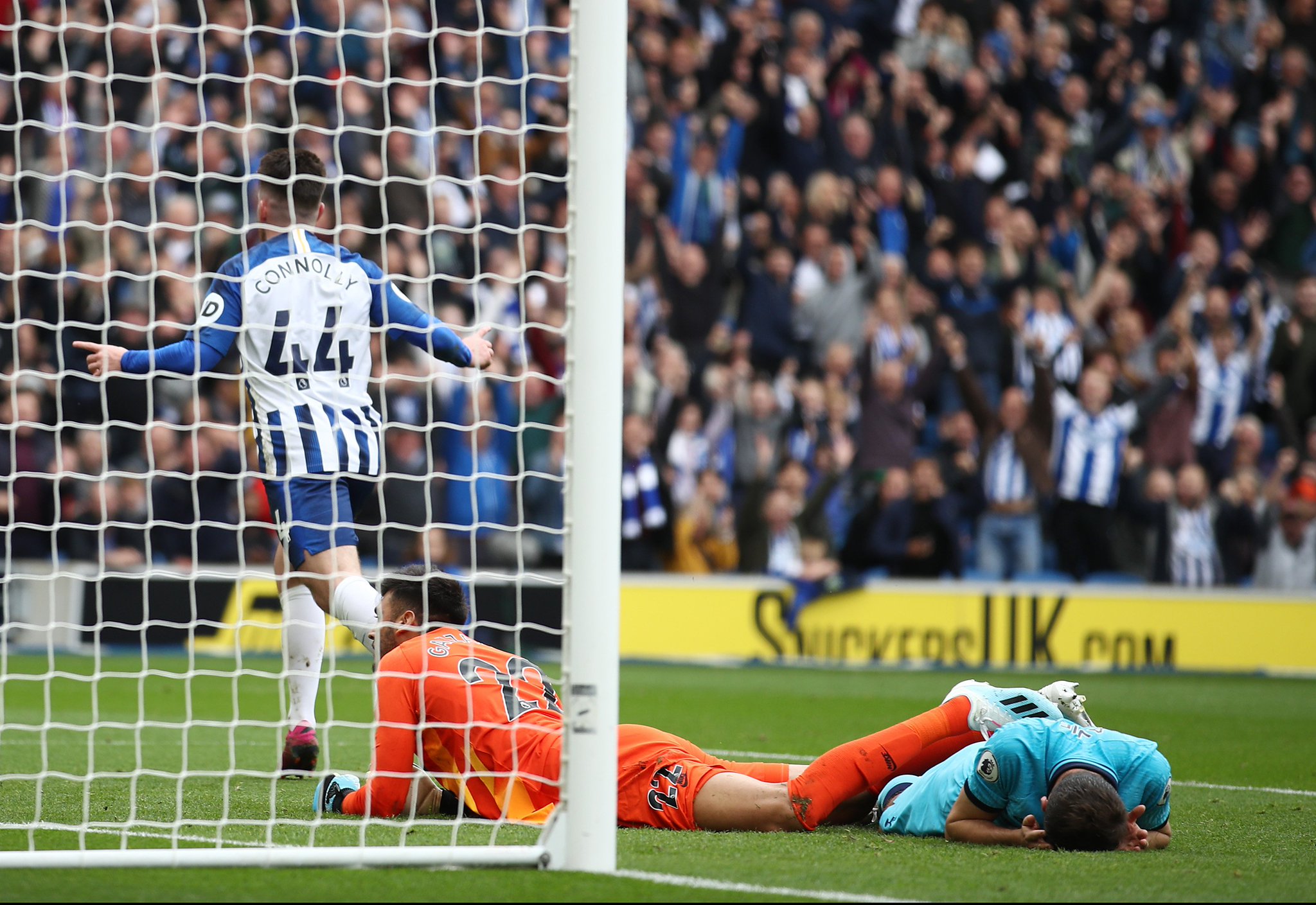 也标志着洼 也标志着洼